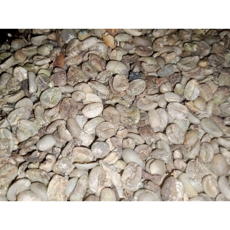 Arabika asalan Temanggung non sortasi