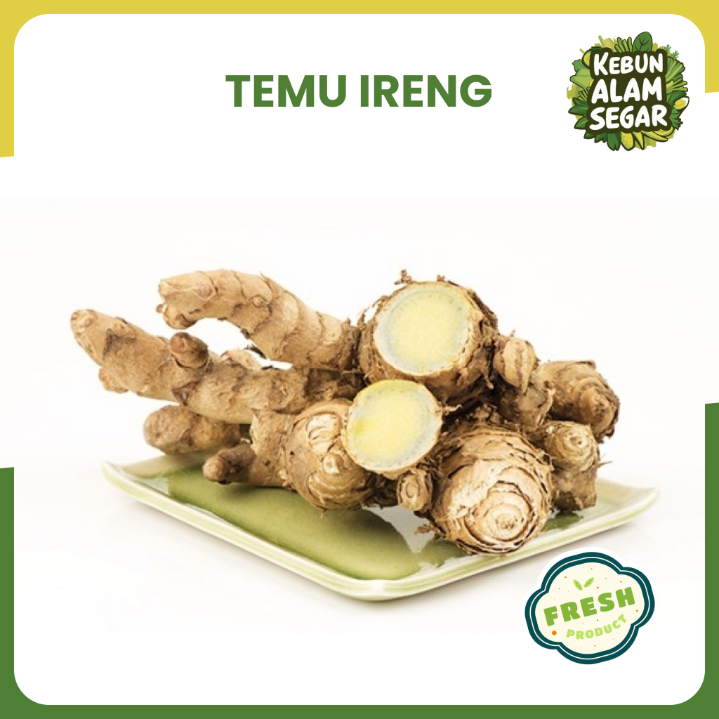 

TEMU IRENG / TEMU HITAM SEGAR 500 gram
