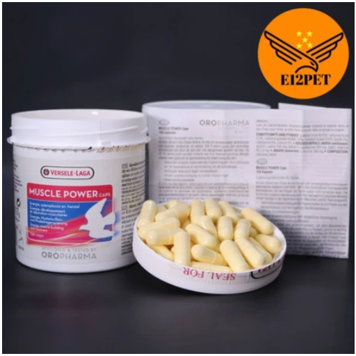 MUSCLE POWER Caps 1 pcs Suplement BCAA Recovery Otot-Stamina Merpati / Vitamin Merpati