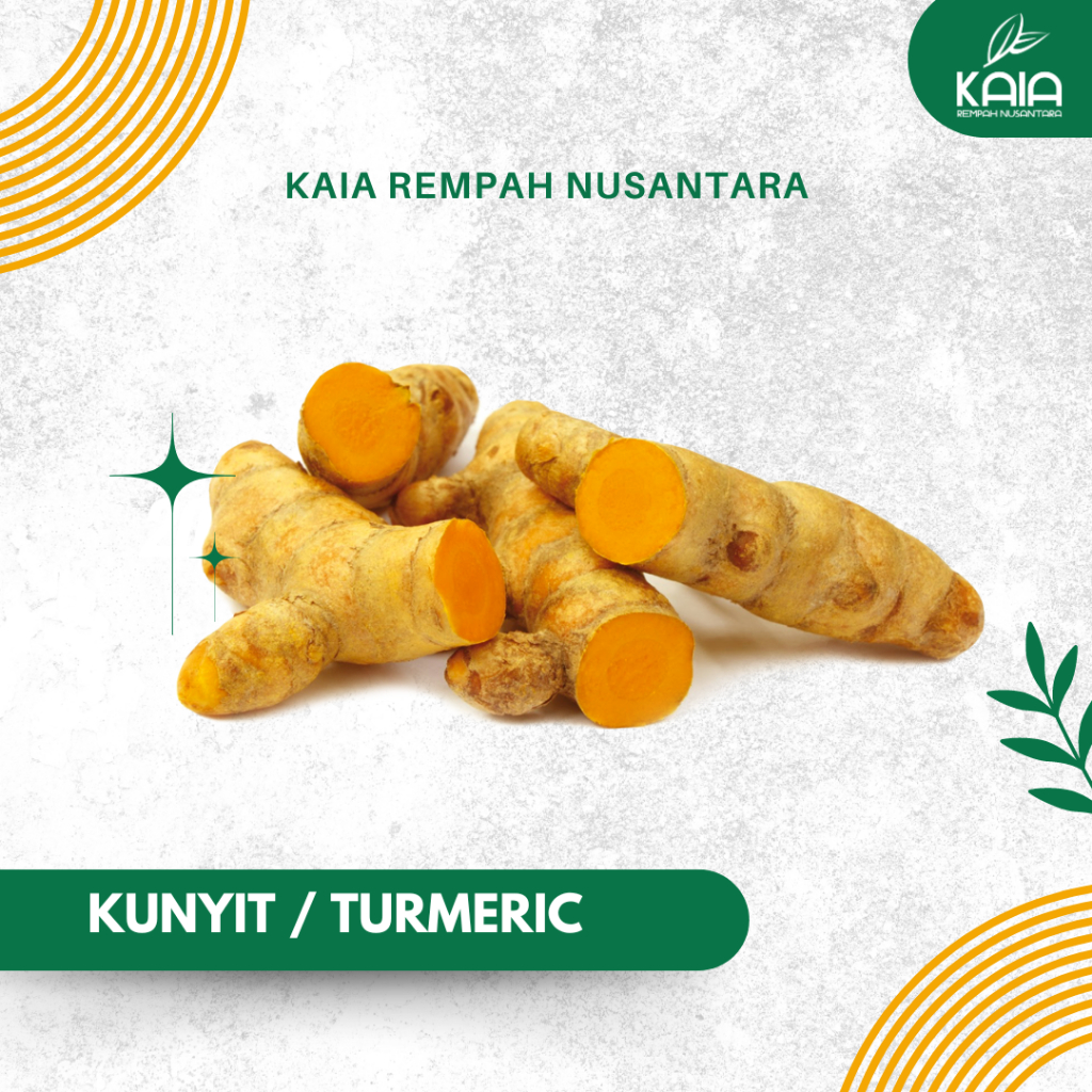 

KAIA Kunyit - Rempah bumbu dapur segar premium
