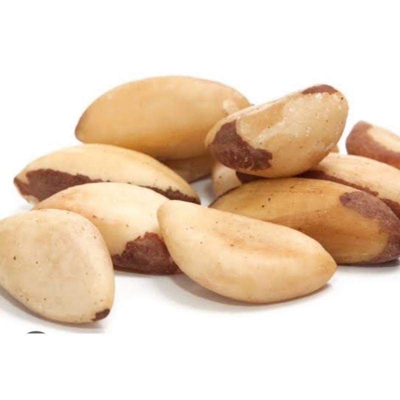 

Brazil Nut 100gr Import /Kacang Brazil Premium Quality Raw