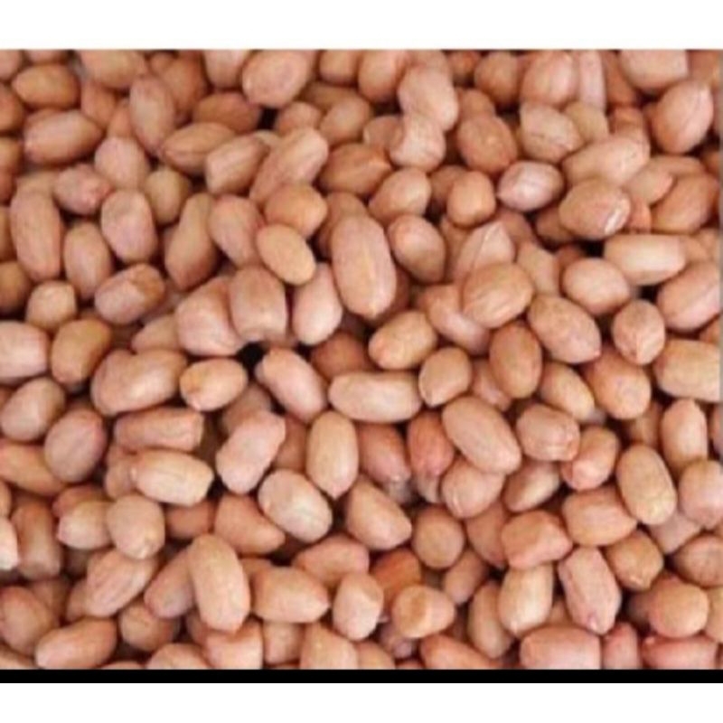 

kacang tanah mentah 1 kilo