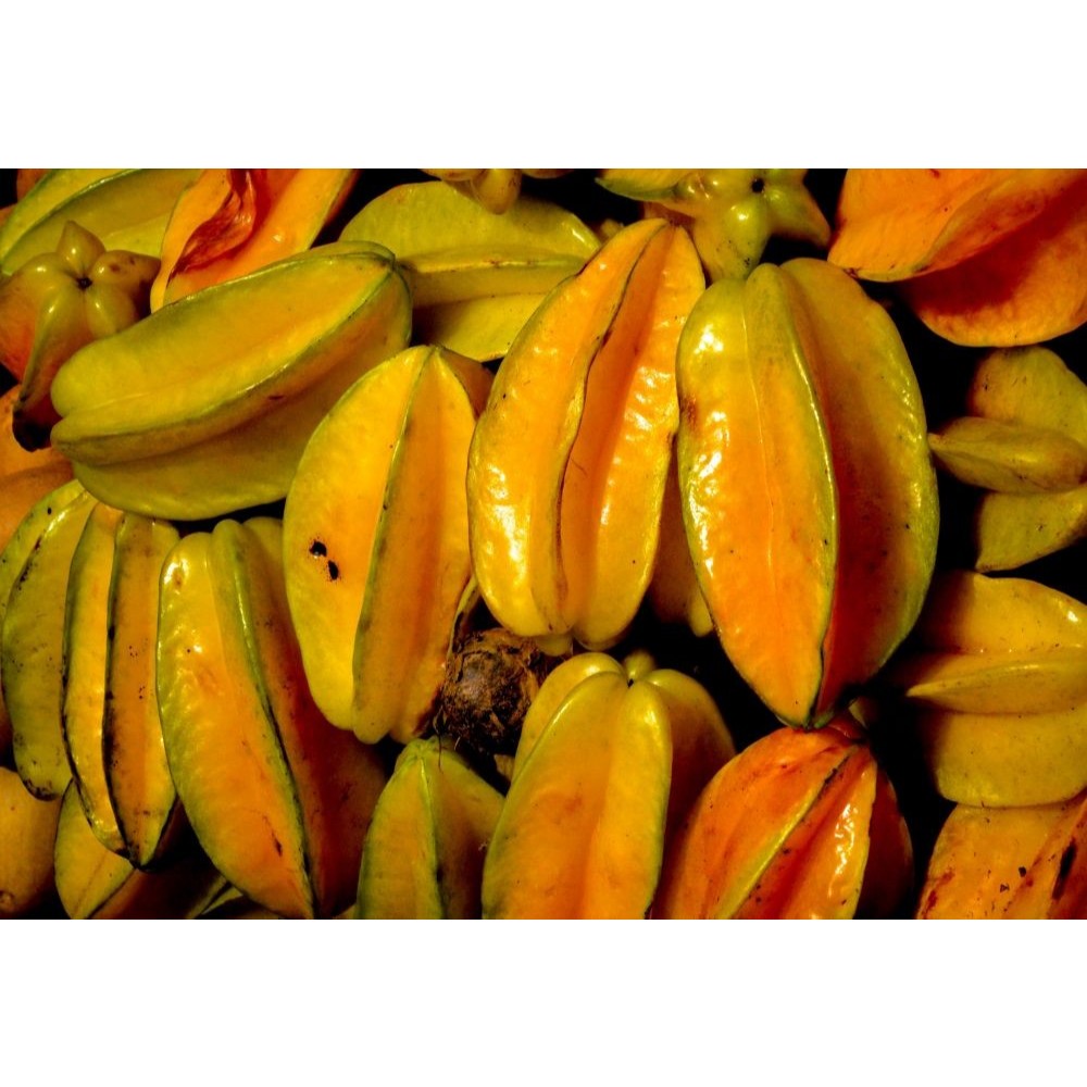 

PASAR ONLINE MURAH - BELIMBING MADU 500GR