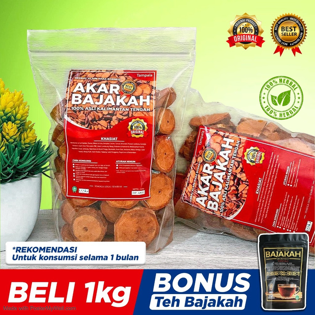 

PROMO TERLARIS Akar Bajakah Kalalawit Merah Asli Kalimantan 1kg