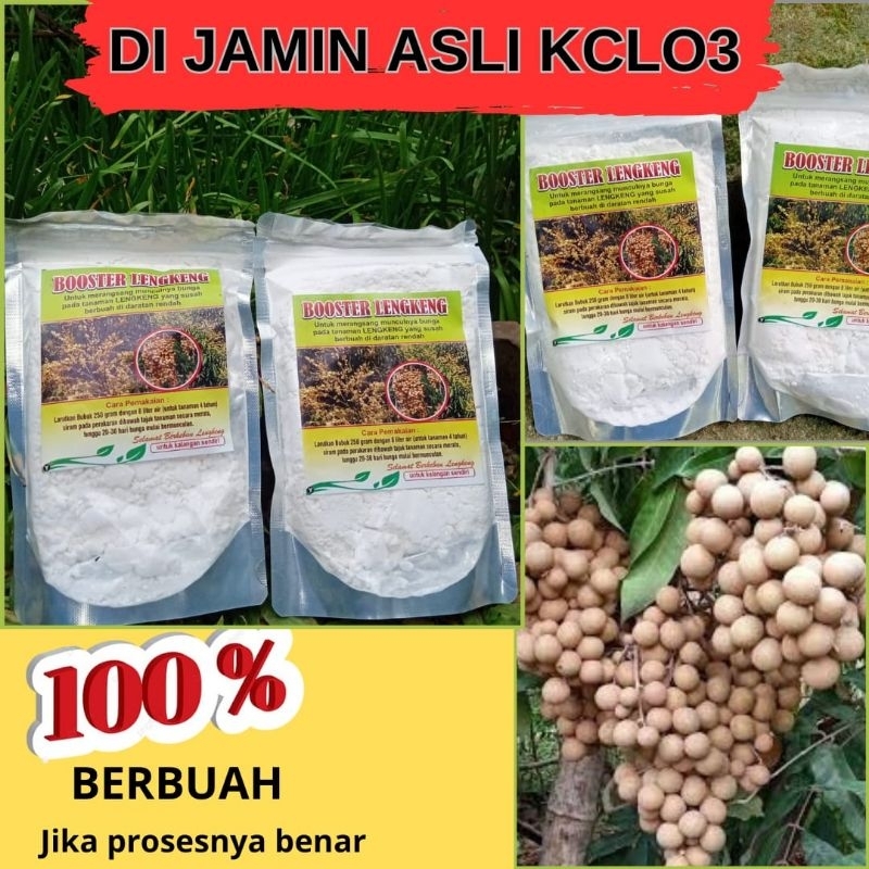 Booster Lengkeng Nusantara, Booster Lengkeng 1kg, Pupuk Kelengkeng