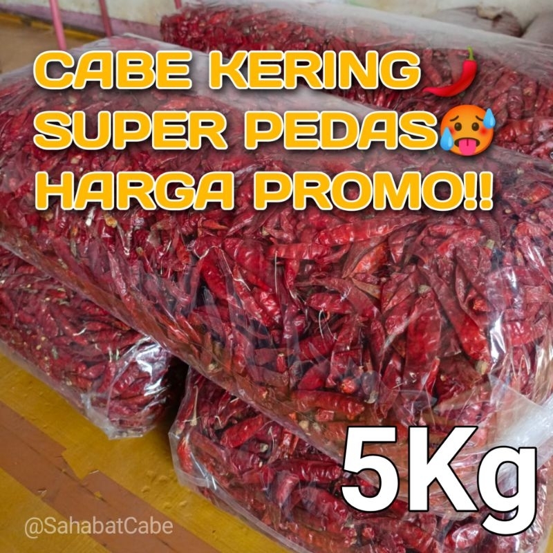 

TERLARIS 5kg Cabe Kering Japlak Teja