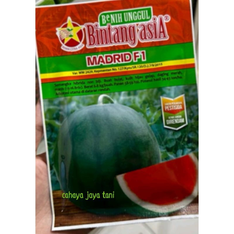 benih semangka MADRID F1 20 gram