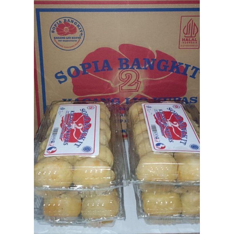 

PAKET MURAH SOPIA BANGKIT 2 KACANG HIJAU KUPAS