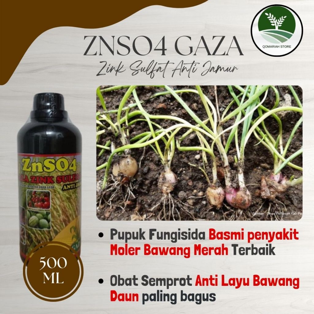 Tebus Murah COD Obat semprot penyakit moler bawang merah terbaik - Pupuk Fungisida yg mampu mengatas