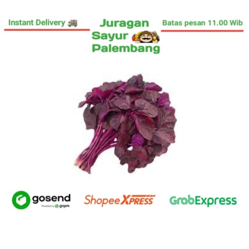 

Bayam Merah - Juragan Sayur Palembang