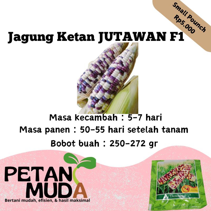 

jagung ketan dan jagung manis cap panah merah repack cod