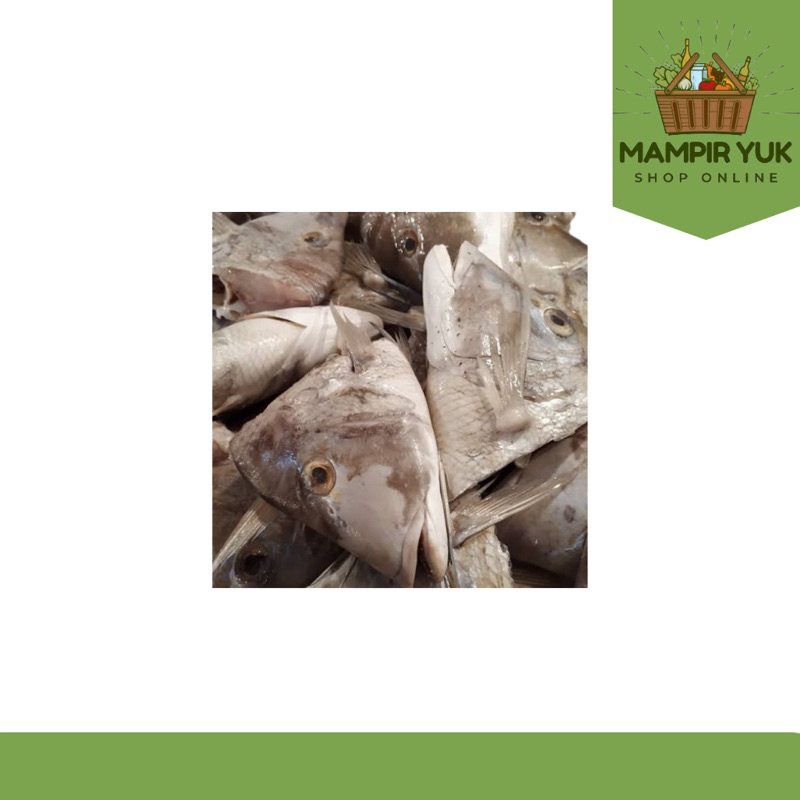 

Kepala ikan kakap 500gr-1kg | mampiryuk