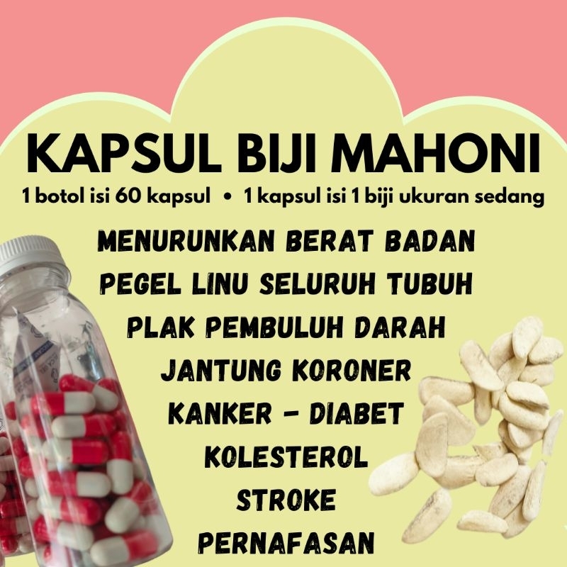 KAPSUL BIJI MAHONI, ORI, ISI 60 KAPSUL / BOTOL, SOLUSI OBAT MURAH UNTUK ANTI KANKER, ANTI DIABET, AN