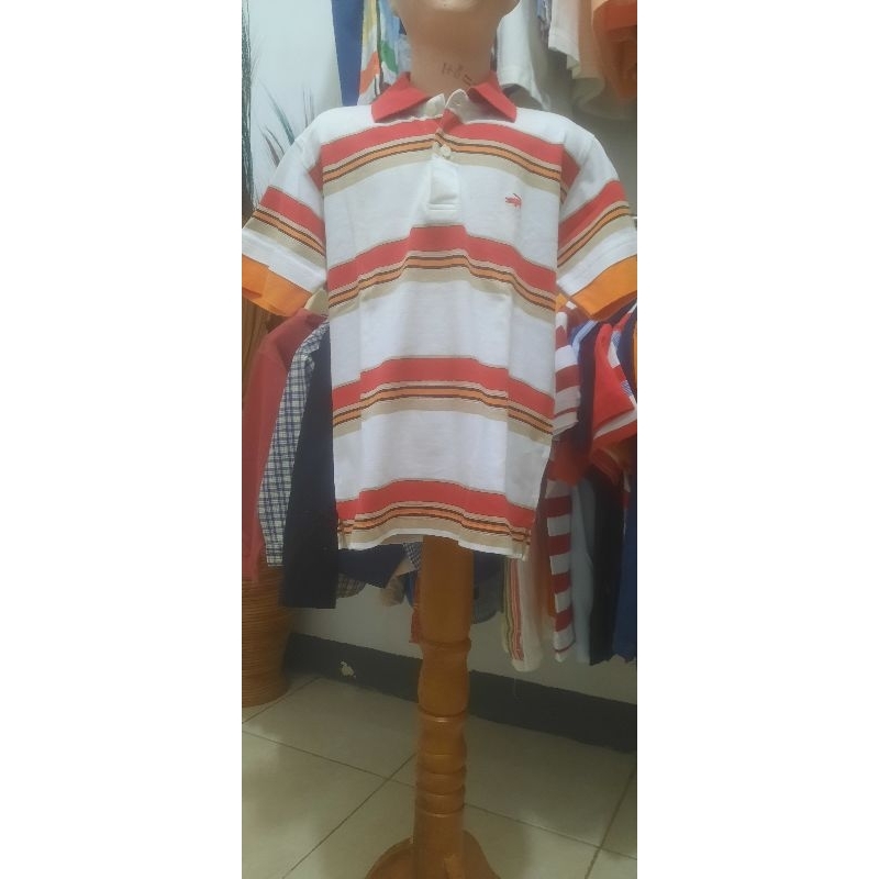 second crocodile anak