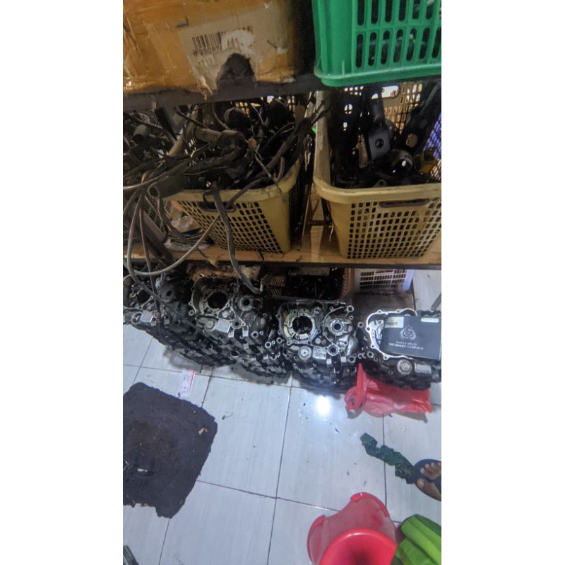 kalter kanan tiger revo