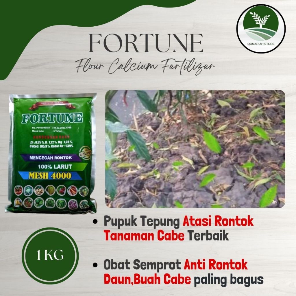 Obat Semprot Anti Rontok Tanaman Cabe Rekomended - FORTUNE 1KG - Pupuk tepung yang mampu mencegah ke