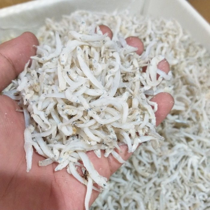 

IKAN ASIN TERI NASI MEDAN SUPER BEST SELLER NETTO 1KG
