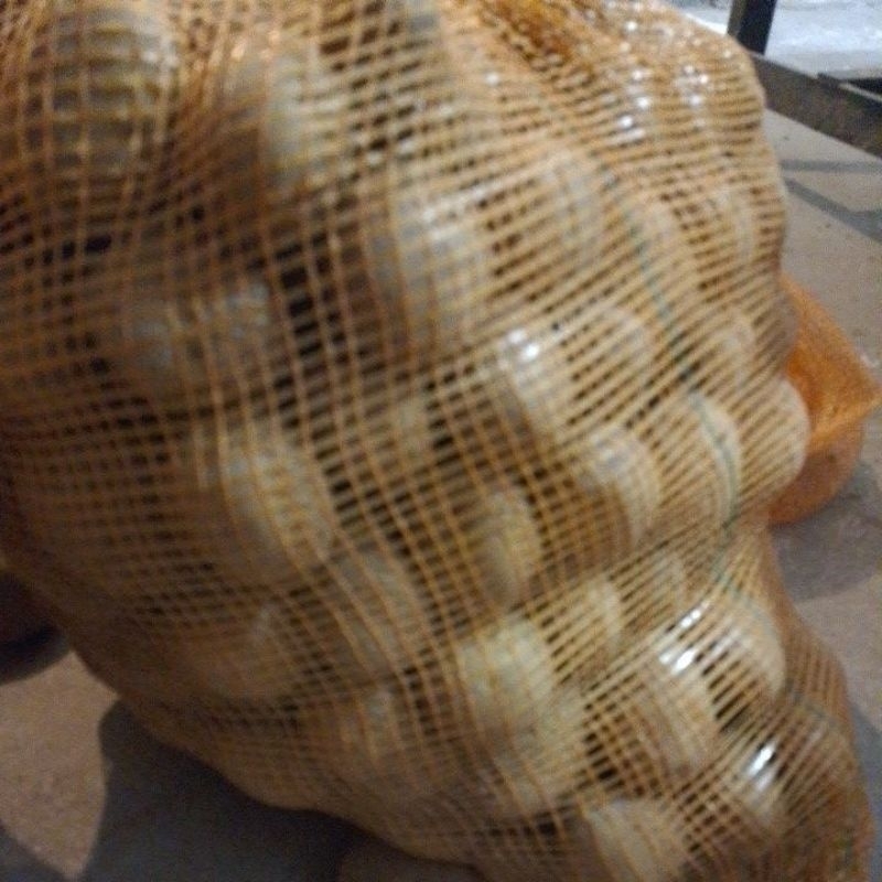 

kentang Kuning Dieng Campur 250 gram [MM -sayur segar -kentang segar]