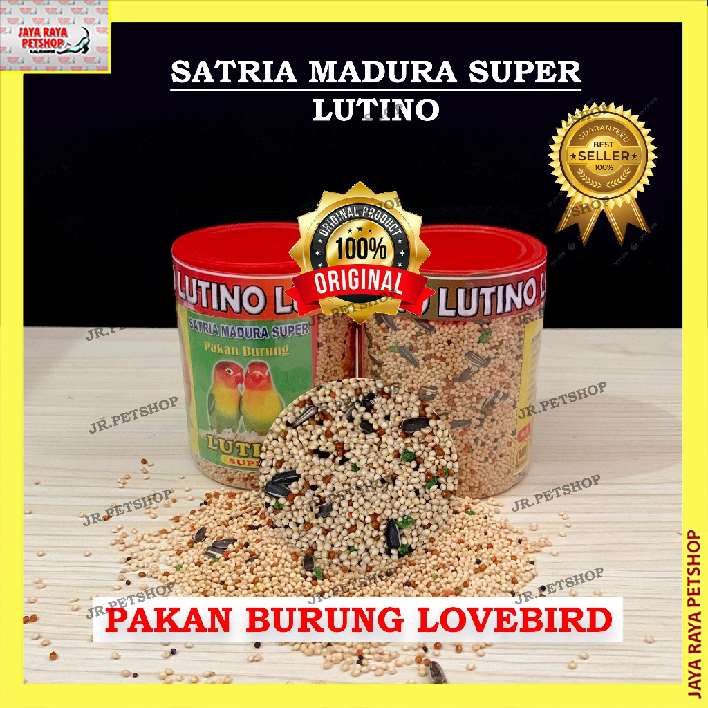 Lutino satria Madura Super Pakan Burung Love Bird