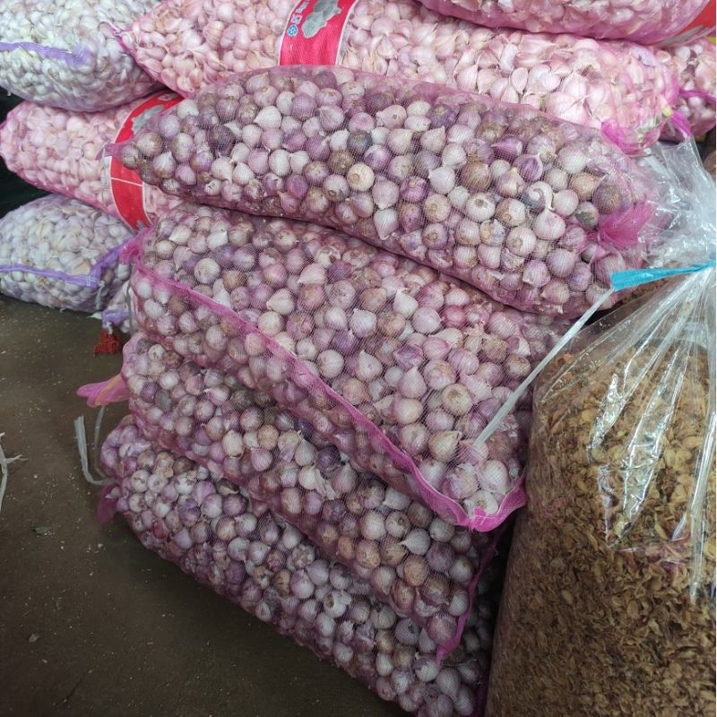 

5Kg Bawang Tunggal Bawang Lanang Grosir/ Bawang Tunggal / Bawang Lanang Import Kualitas SUPER Ukuran Medium sedang