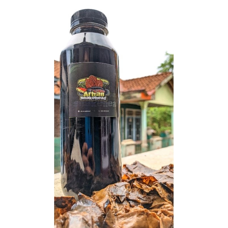 Extrak ketapang Arhan snakehead