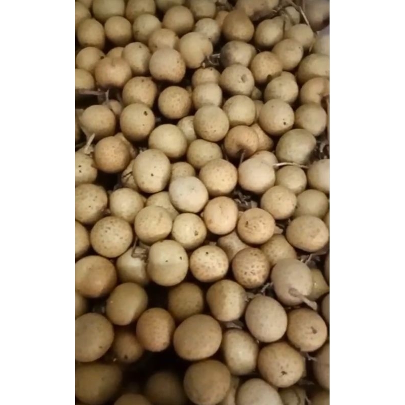 

Kelengkeng Bangkok manis 1 kg