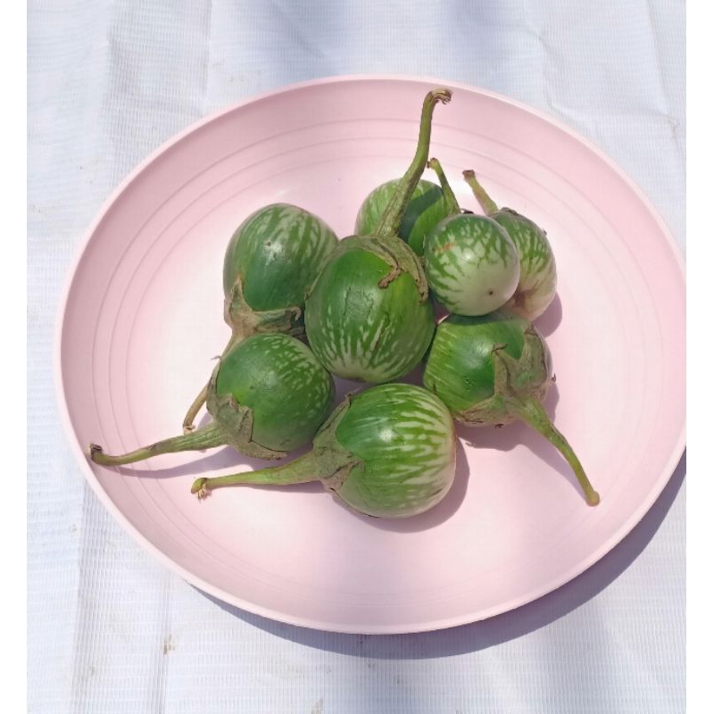 

terong lalap 250g