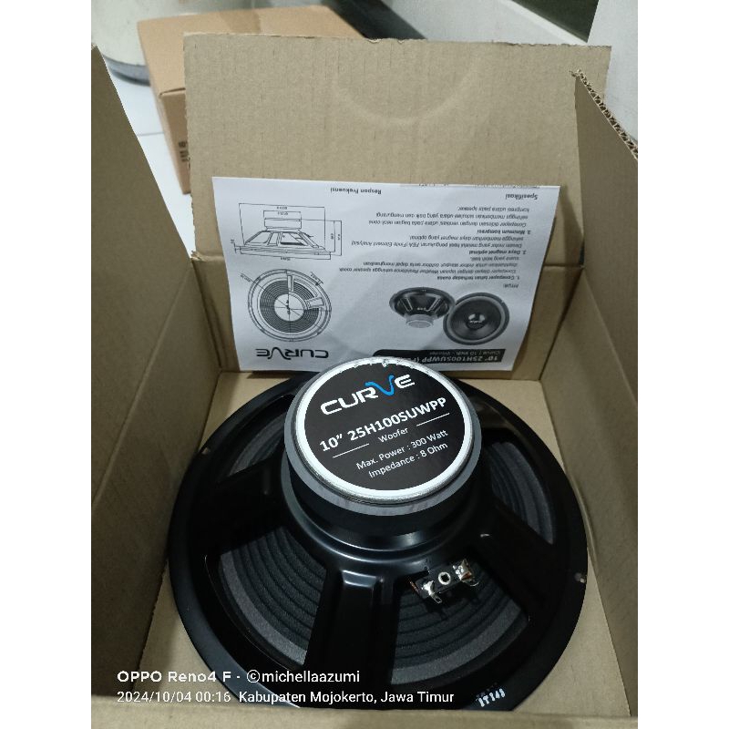 SPEAKER WOOFER CURVE 10 INCH 25H100SUWPP WOOFER