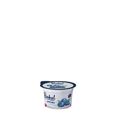 

biokul yogurt blueberry 80ml