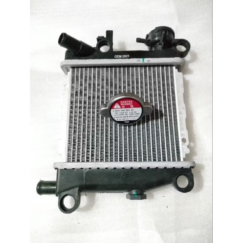 RADIATOR PLUS TUTUP RADIATOR XEON KARBU XEON RC XEON GT 125