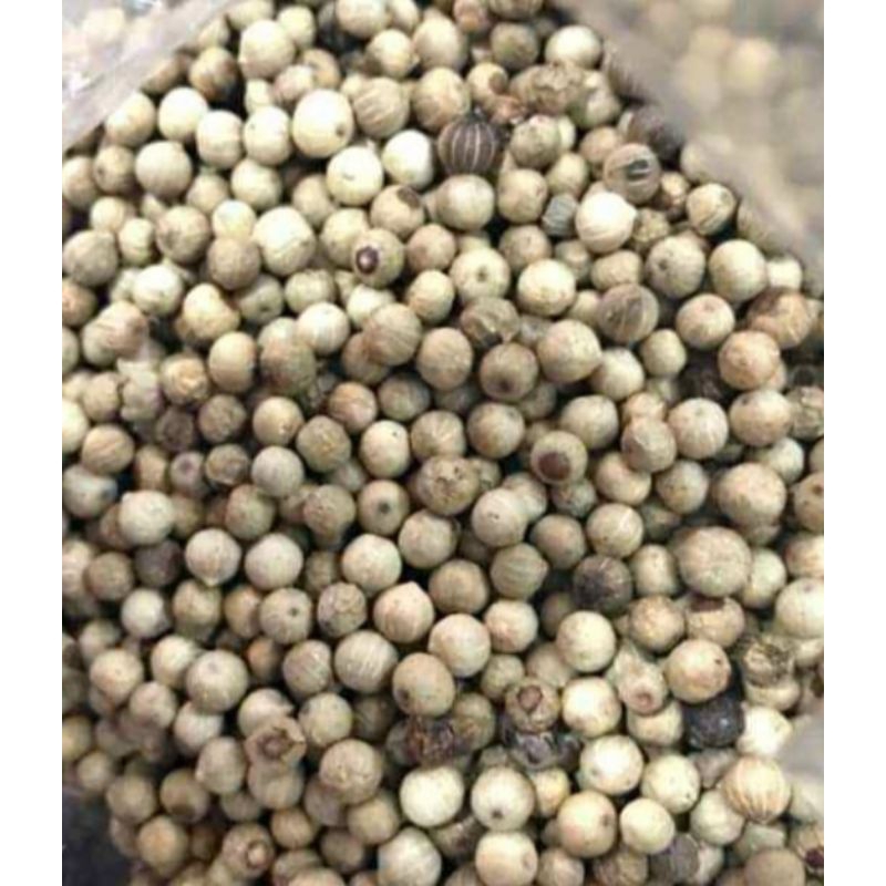 

lada bulat (merica )100 gr (1 ons)