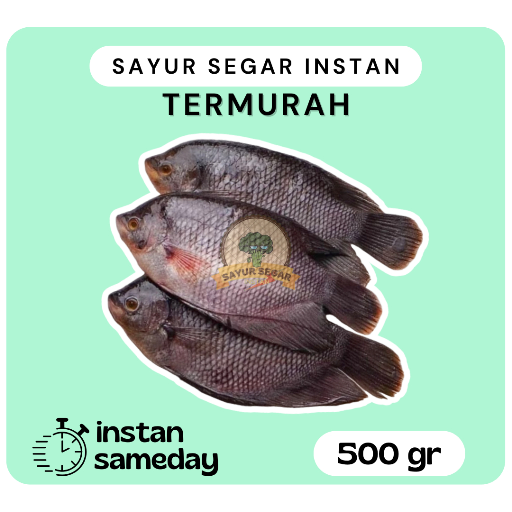 Ikan Gurame 500 gram / Ikan Segar Gurame