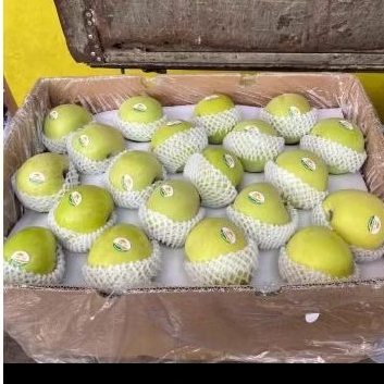 

Apel Green/Hijau RRC Jual per 1 Dus/Karton