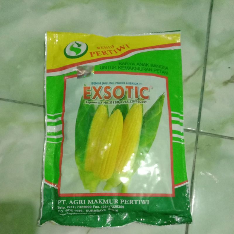 BENIH JAGUNG MANIS EXOTIC