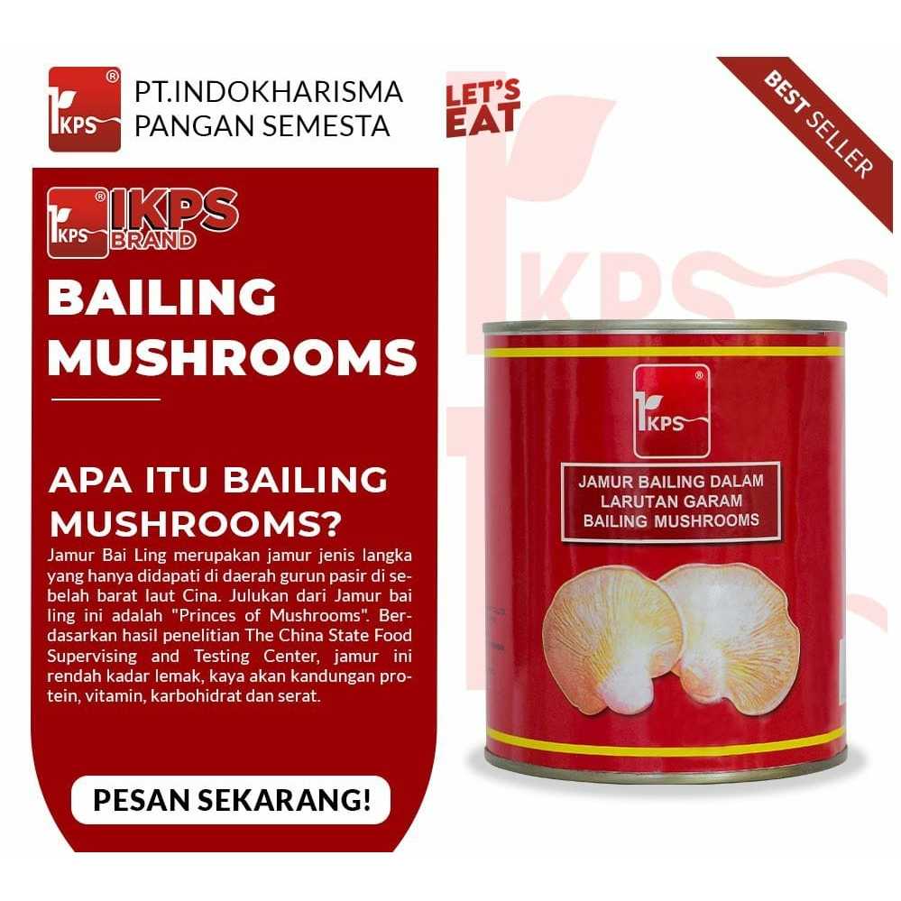 

Bailing Mushroom "IKPS" / Jamur Kuping "IKPS" / Princes Of Mushrooms
