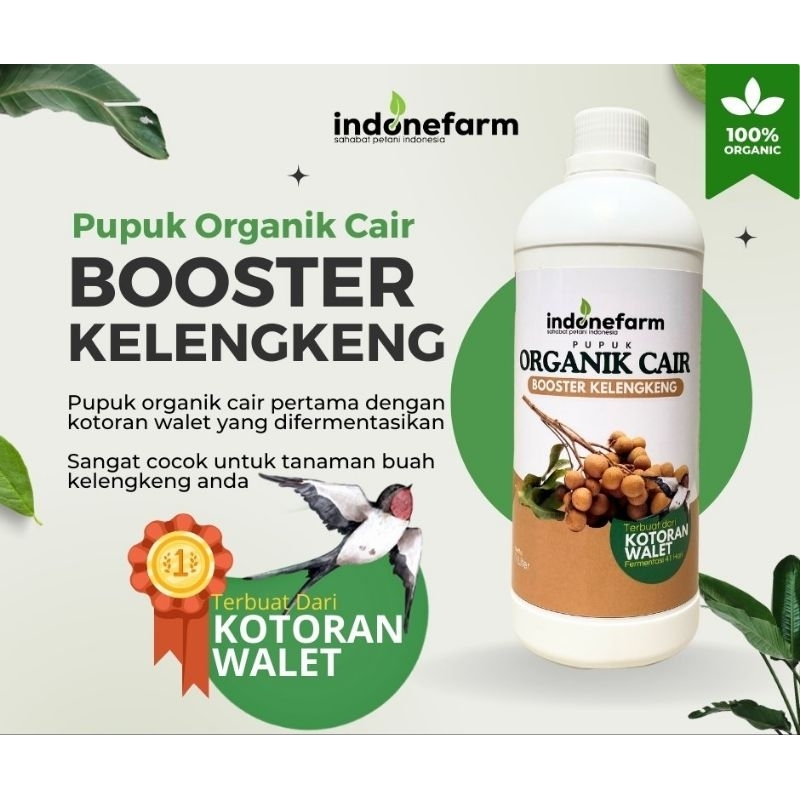 PUPUK KOTORAN WALET | COR ORGANIK BUAH KELENGKENG | Terbuat Dari Kotoran Walet Asli | Fermentasi 41 