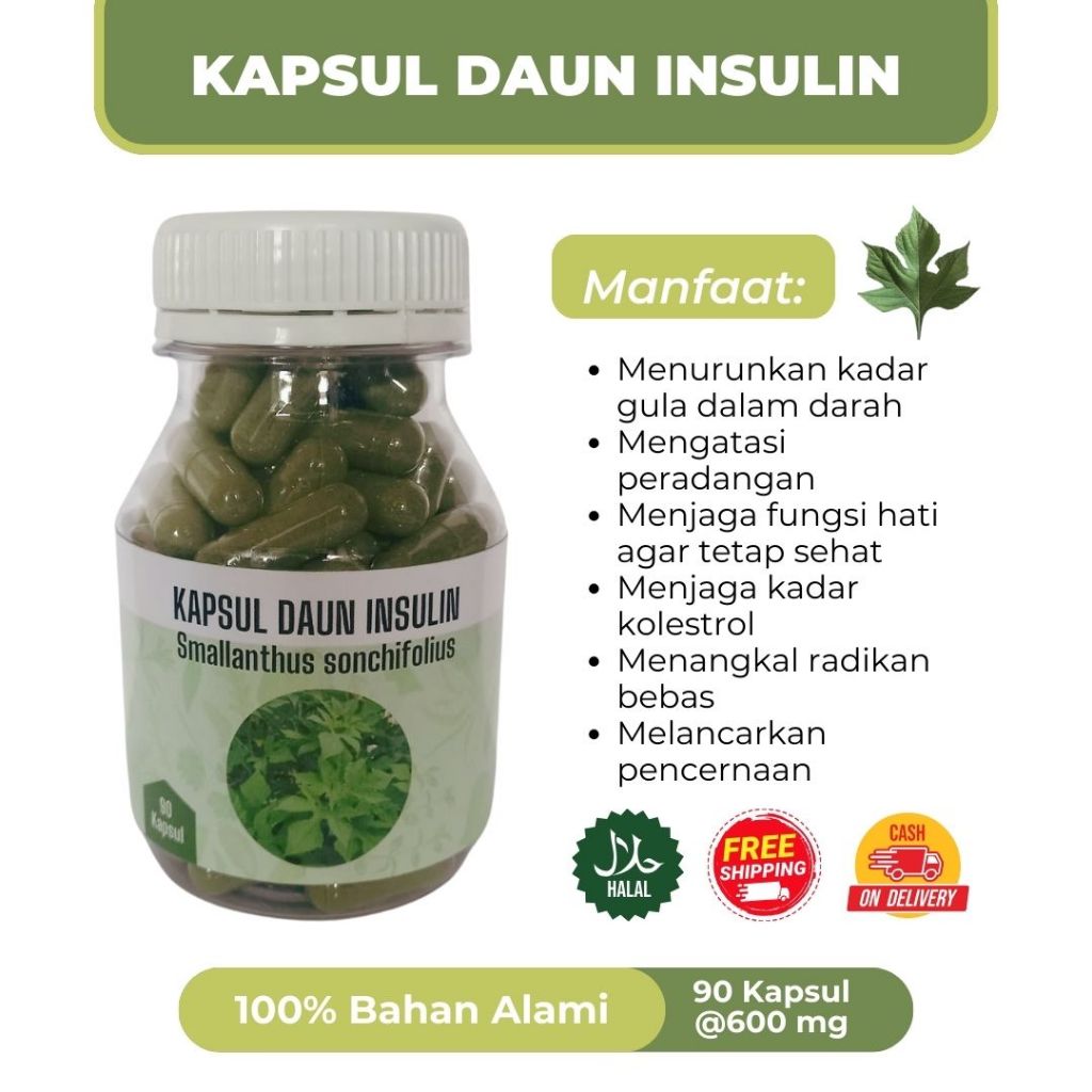 

KAPSUL DAUN INSULIN untuk DIABETES , efektif turunkan gula darah
