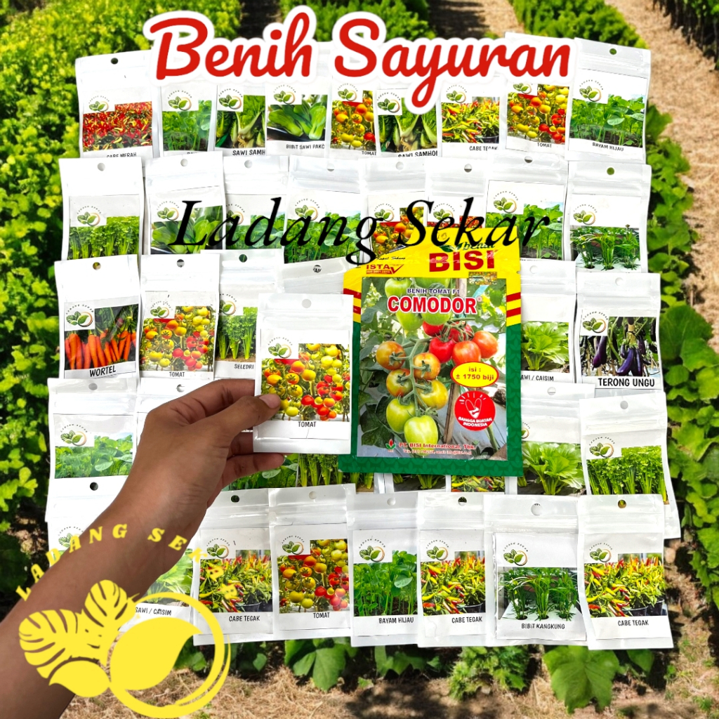 Benih Sayuran | Benih Tomat