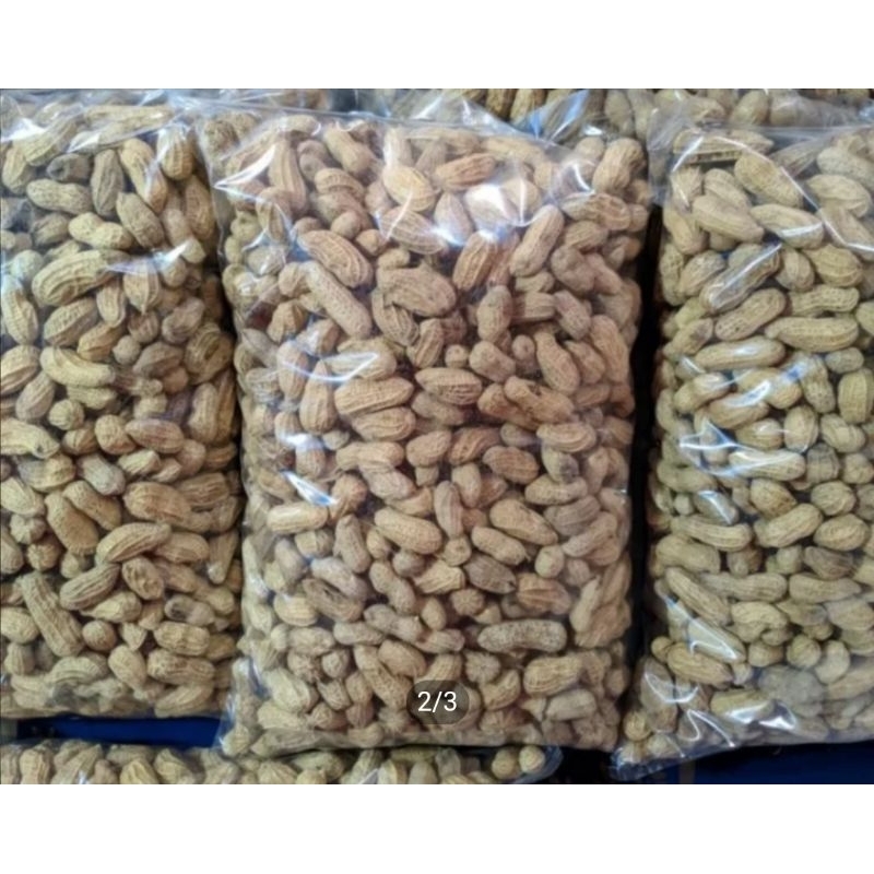 

Kacang kulit matang 1kg