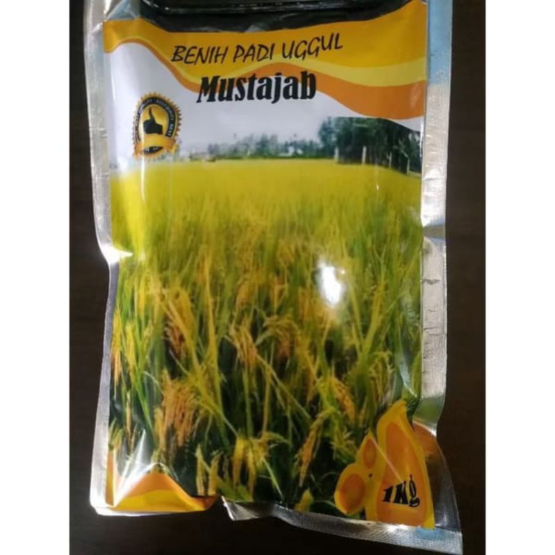 Benih Padi Mustajab Premium 1kg