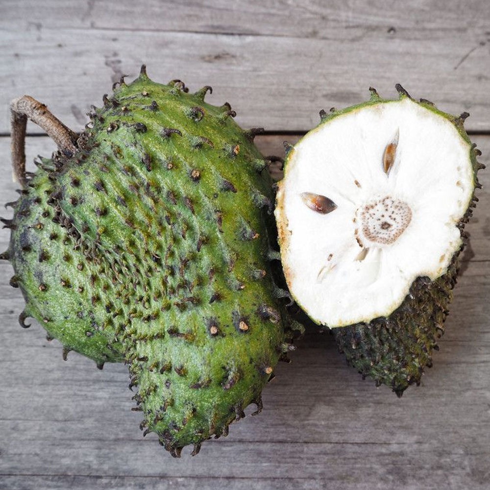 

BUAH SIRSAK SIRSAT SEGAR TUA