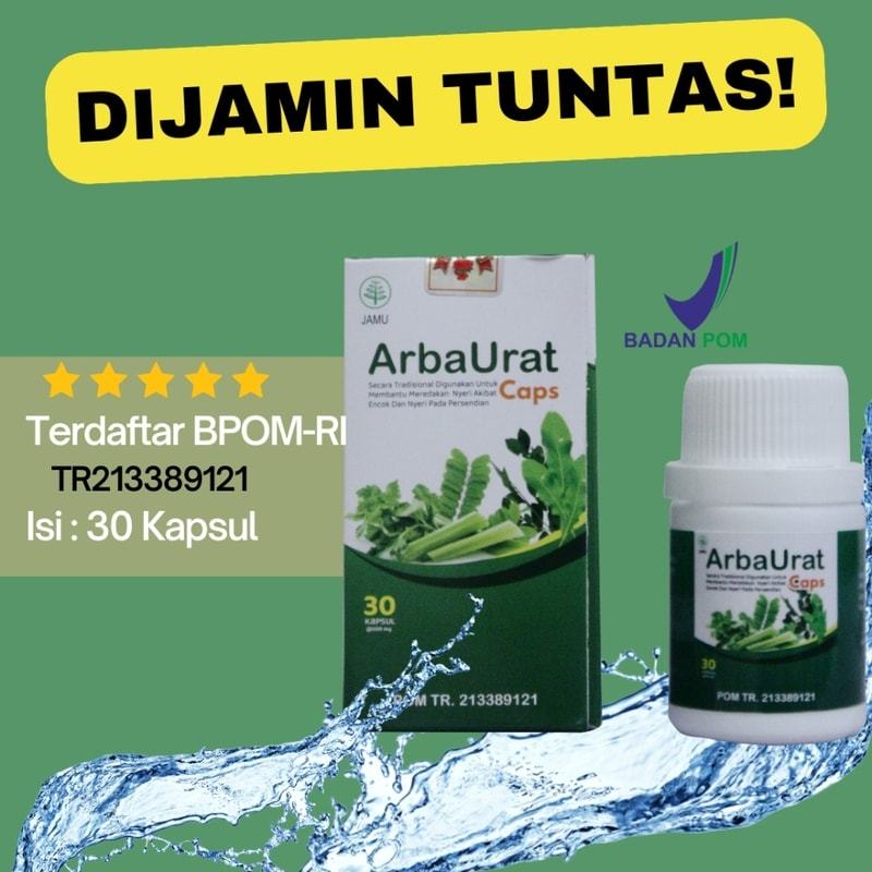 Gigikbunga Arbaurat Obat Herbal Atasi Rematik Dan Asam Urat 30 Kapsul Bpom