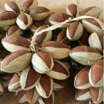 

GULA AREN LEBAK BANTEN