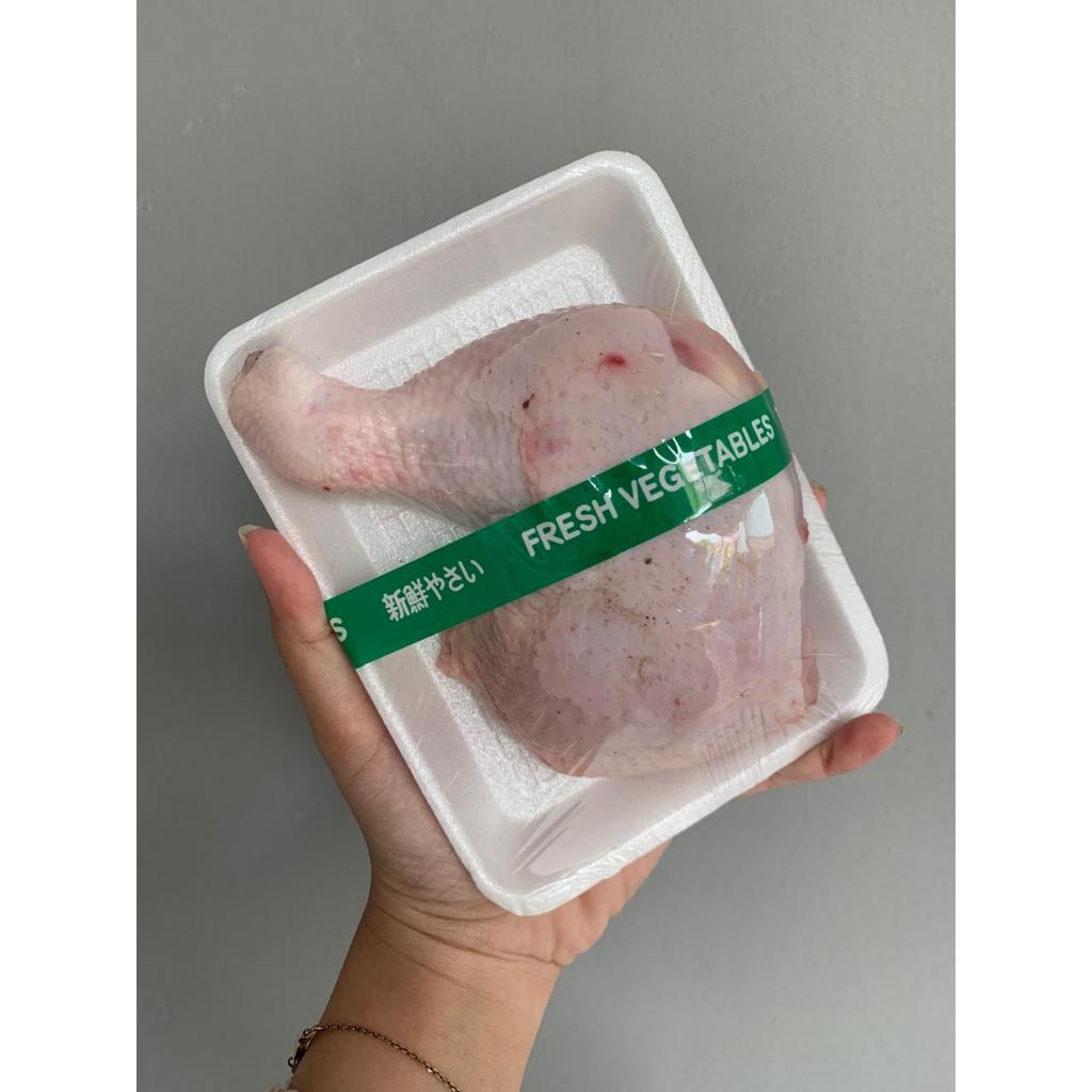 

Daging Ayam Potong Paha Ayam Pistol