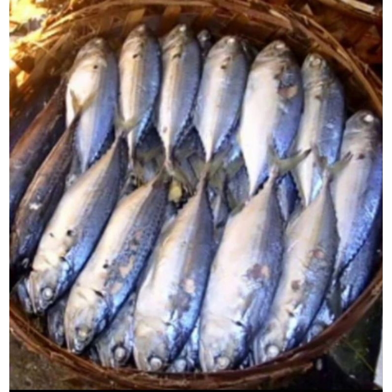 

Ikan kembung rebus /gembung rebus khas medan