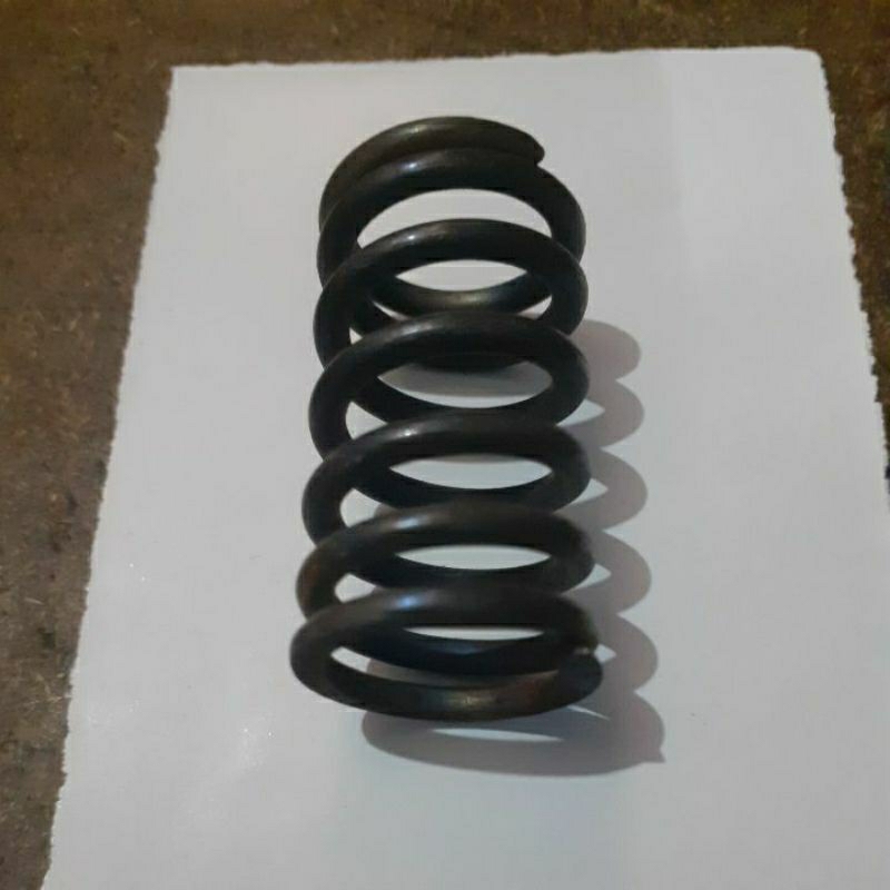 spring plunger/per plunger diesel dong feng S 195-S 1115