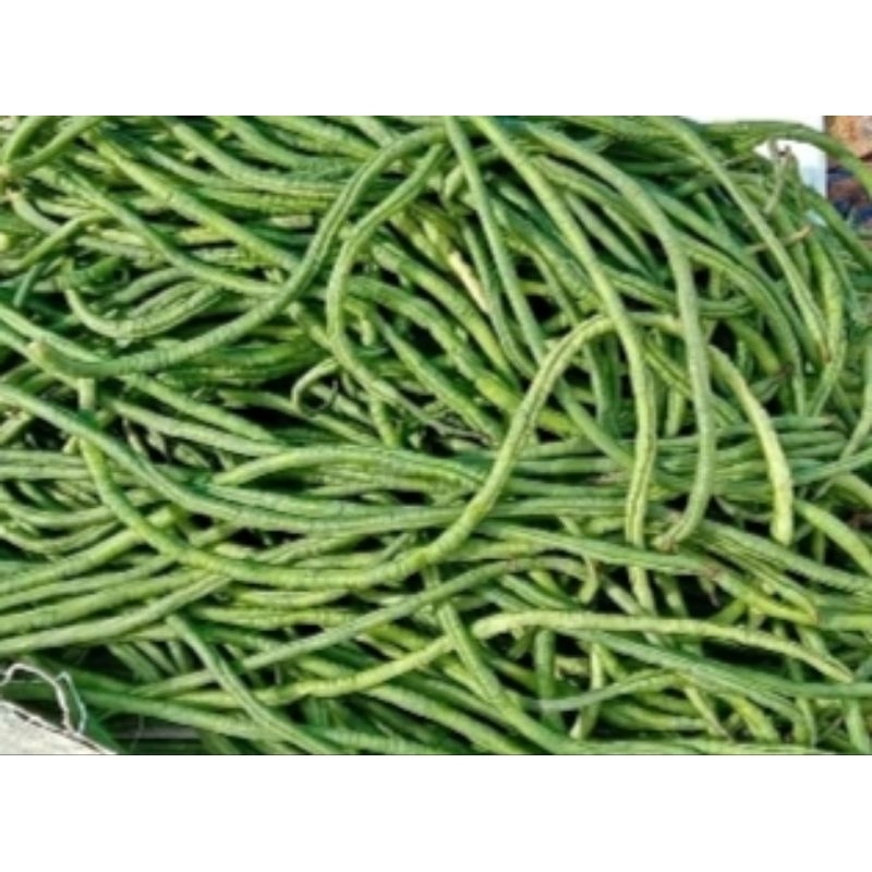 

kacang panjang sdg / pasar online karuwisi
