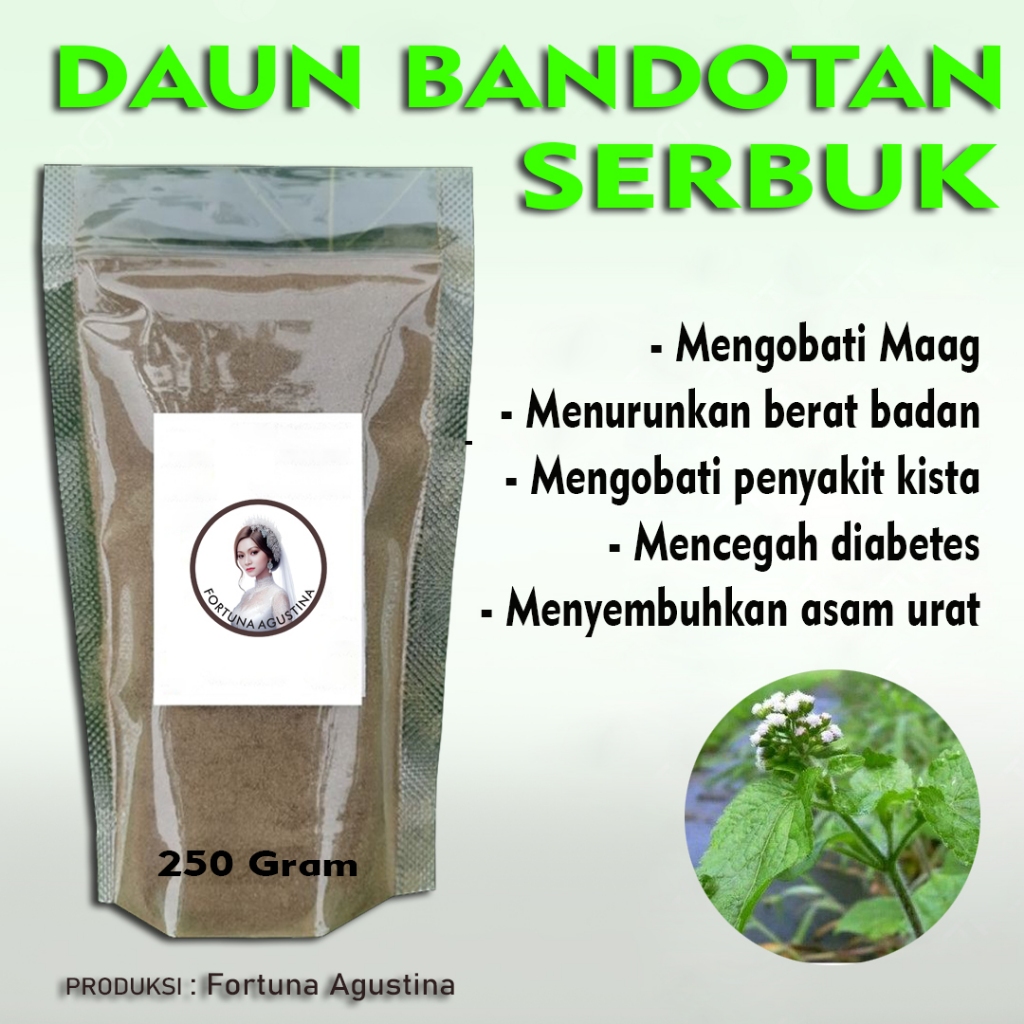 

Daun Bandotan Serbuk - Sembuhkan kista