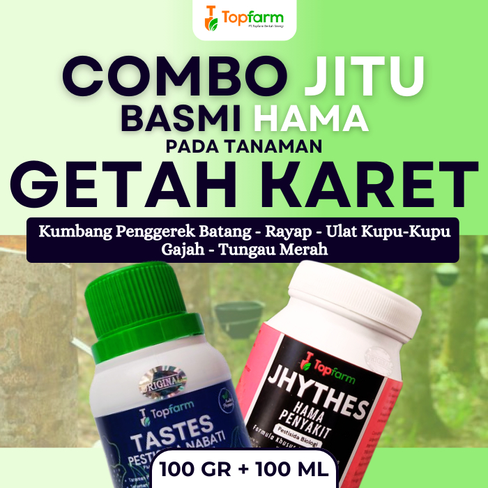 Insektisida Topfarm / Obat Pohon Karet Mati Getah / Obat Pohon Karet Mati Kulit / Obat Pohon Karet /