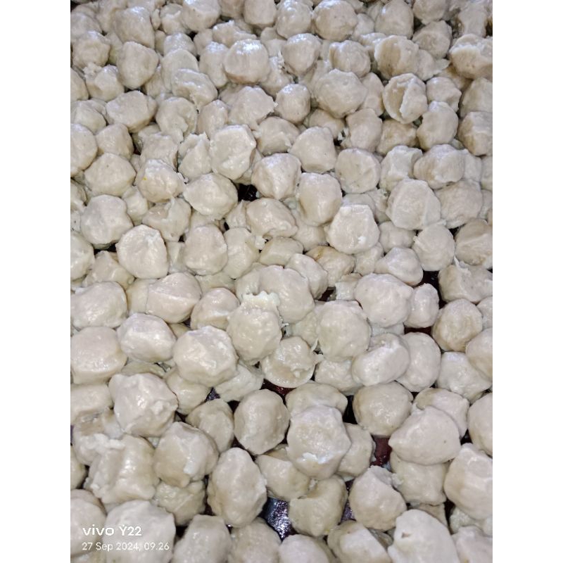 

Pentol Ayam saja isi 12pcs